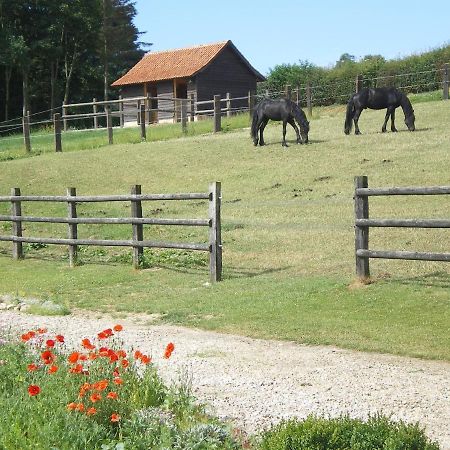 Ferme Des Tilleuls Bezinghem Esterno foto