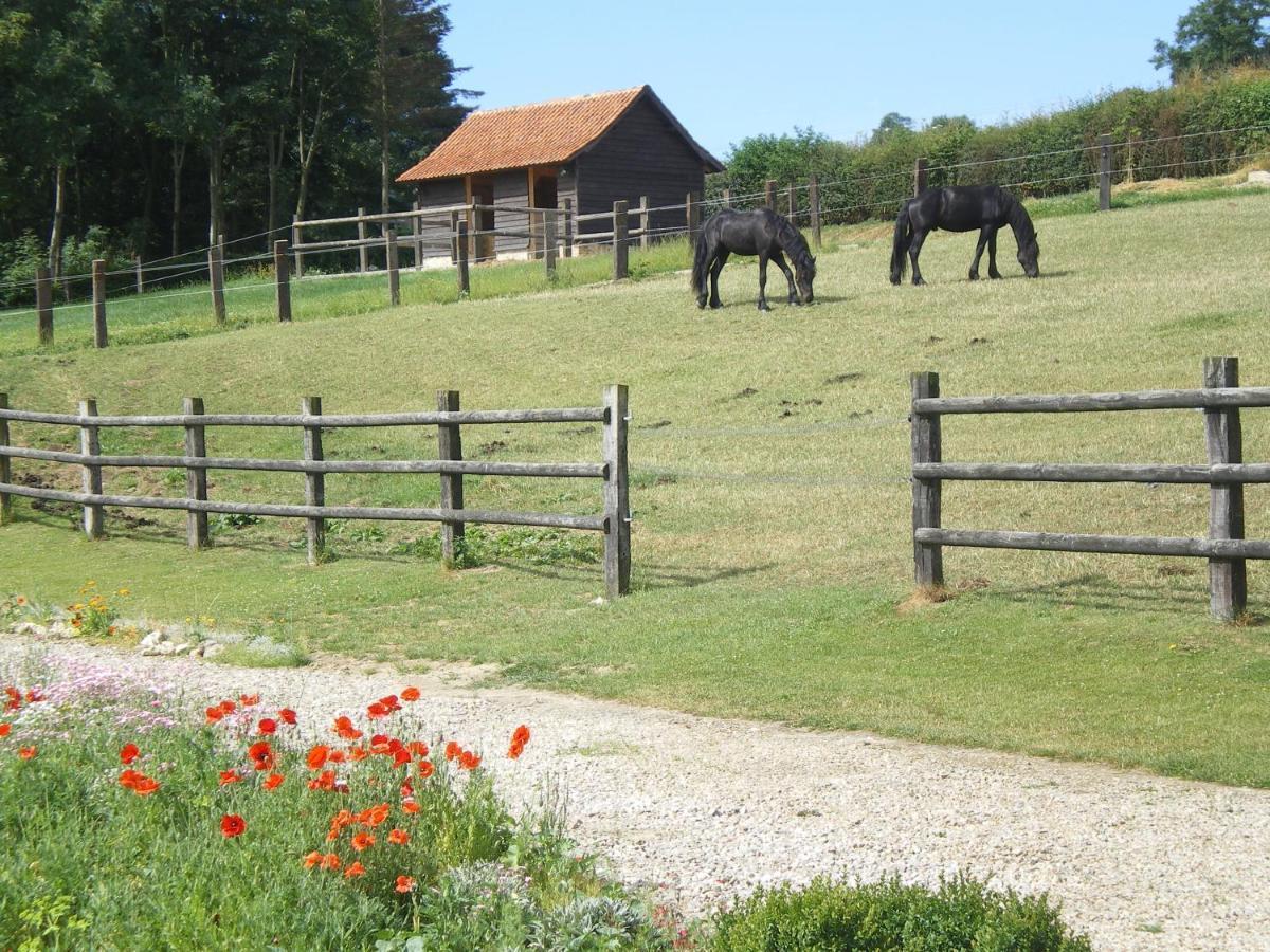 Ferme Des Tilleuls Bezinghem Esterno foto